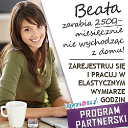 Program Partnerski